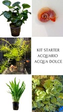 Kit Starter Acquario Naturale | 5 Piante Facili + Lumaca Pulitrice Planorbis