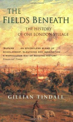 The Fields Beneath - Tindall, Gillian