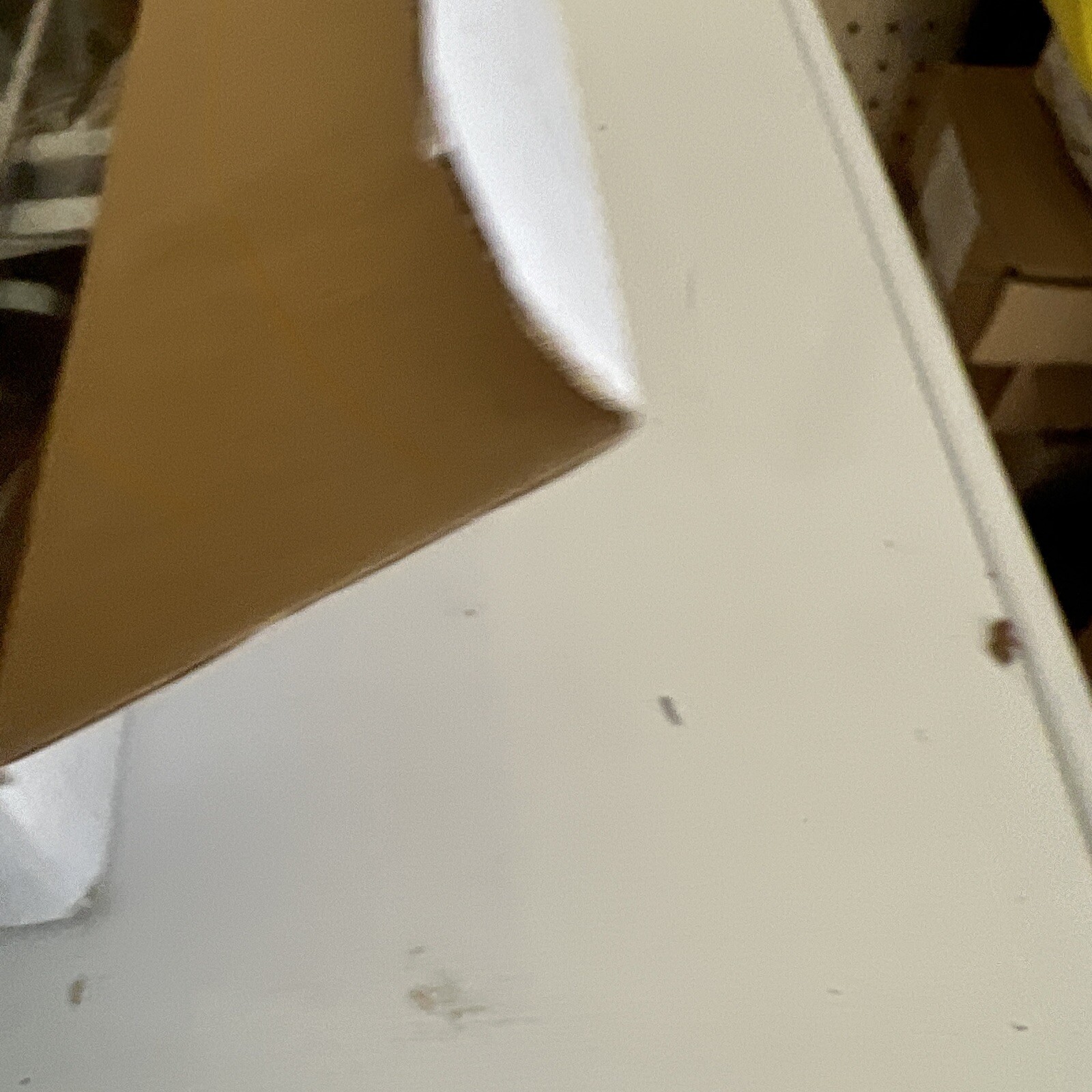 Picture 3 of 3