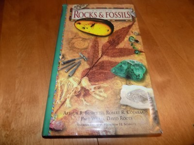A GUIDE TO ROCKS & FOSSILS Fossil Rock Gems Gemstones Gem Stone Mineral Book