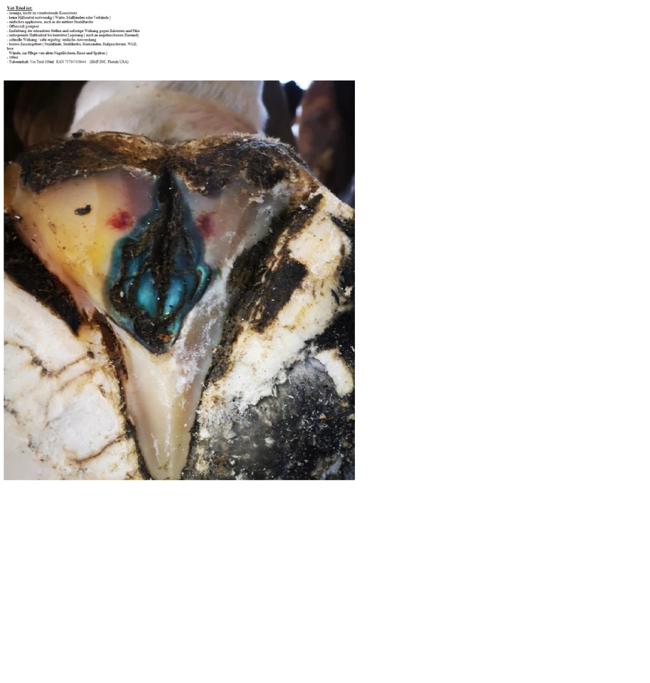 Trattare il marciume dei raggi e il cancro delle radiazioni.  Vet-Triol in confezione doppia 2 tubi. - Immagine 2 di 4