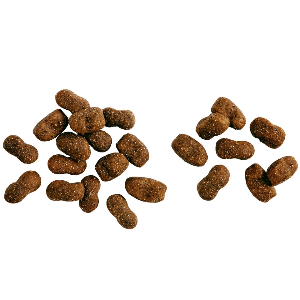 2 x 12,5 kg Belcando Young Trockenfutter Hundefutter Aufzucht Junior Junghund - Bild 2 von 3