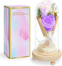 Preserved Rose Gifts for Women, Forever Flowers Real Roses in Glass Dorm, Birthd