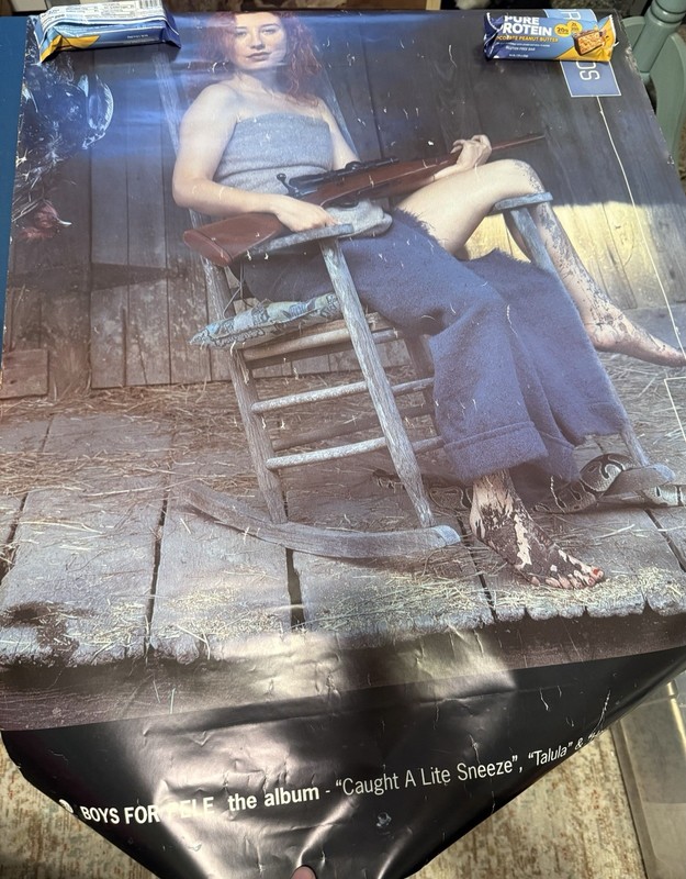 Tori Amos 1996 Boys For Pele Album Cover Art Poster