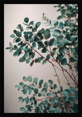 Dramatic Eucalyptus Branches Framed Wall Art Poster Canvas Print Picture