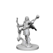 Image of Pathfinder Deep Cuts Unpainted Miniatures: Elf Male Sorcerer (US IMPORT)