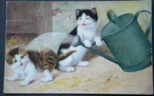 48268 Ak Cat Kitten Painted Postcard Cats With Watering Cans 1927