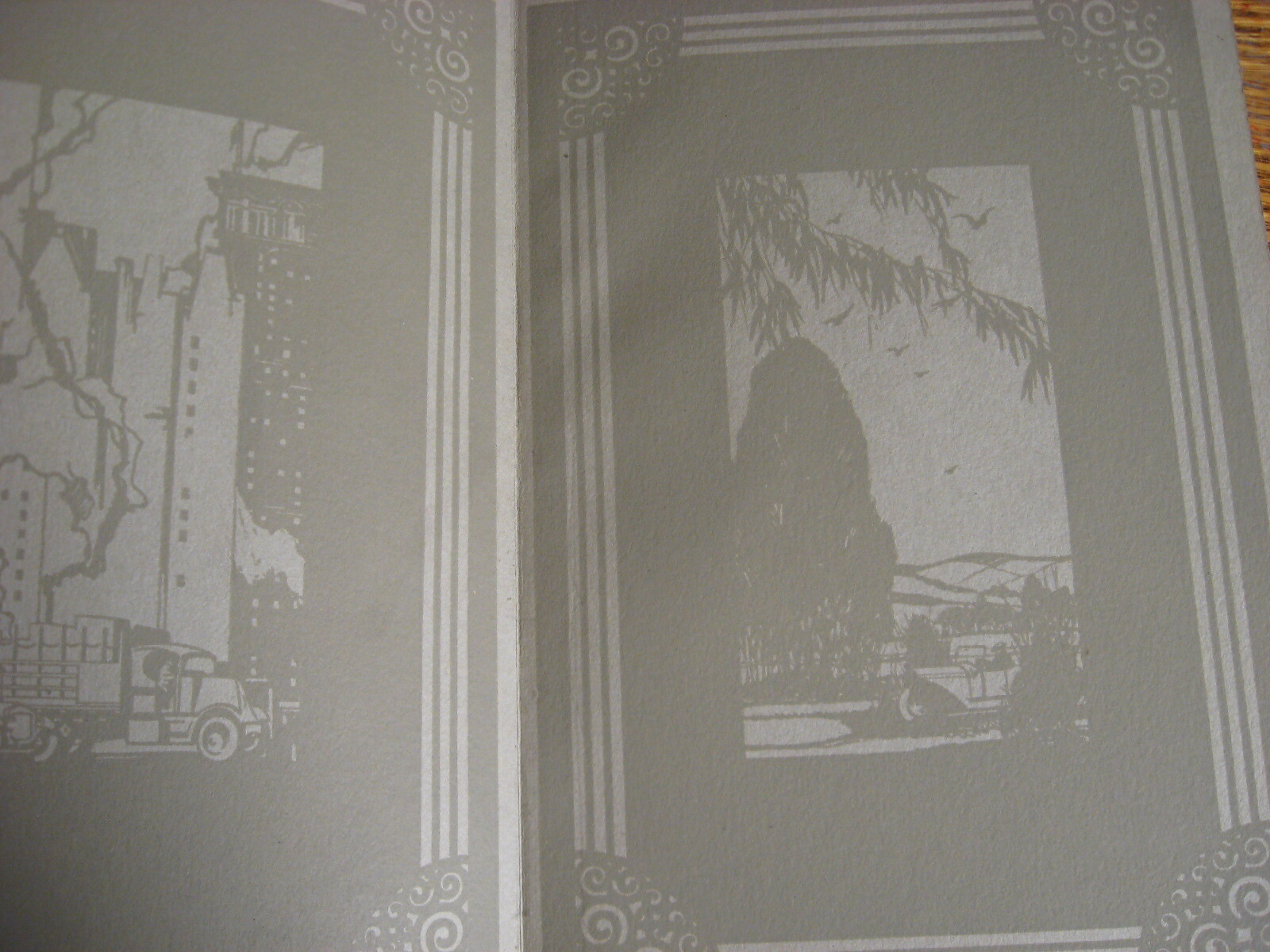 Picture 7 of 7