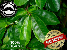 Dried Soursop Leaves 100 Organic Natural Pure Soursop Guanabana Graviola Leaves