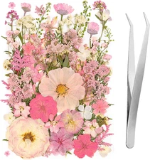 50Pcs Pink Pressed Dried Flowers Leaves for DIY Crafts and Scrapbooking