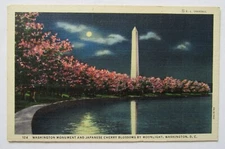 Washington D.C. Monument Cherry Blossoms Moonlight 1934 Postcard