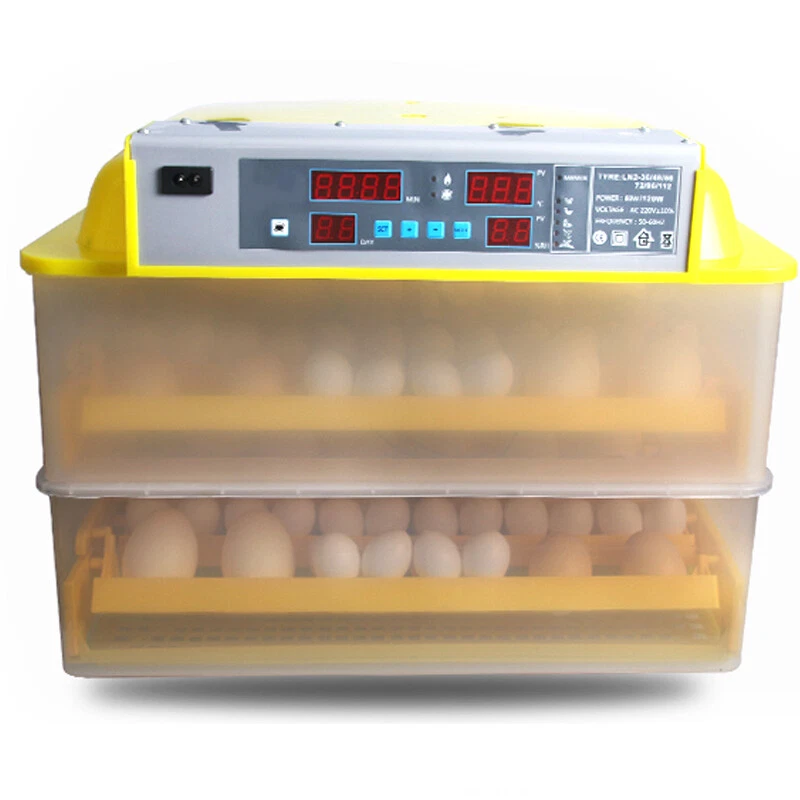 s-l1600.webp (800×800)