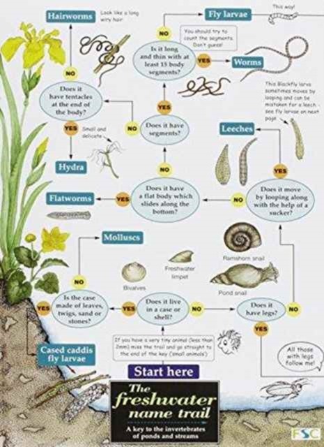 Freshwater Name Trail (WildID) - Image 4
