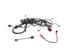 Faisceau électrique (Peugeot - E-Vivacity 50 2011 - 2018)