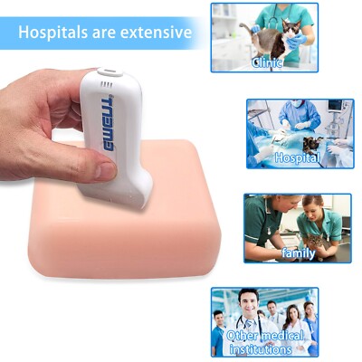 1PCS Ultrasound Guided Vascular Puncture Model, Nurse Vascular Puncture Training