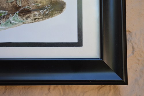Wide Mouth Bass catching a dragonfly painted on a feather framed signed 9 x 16" - Picture 5 of 6