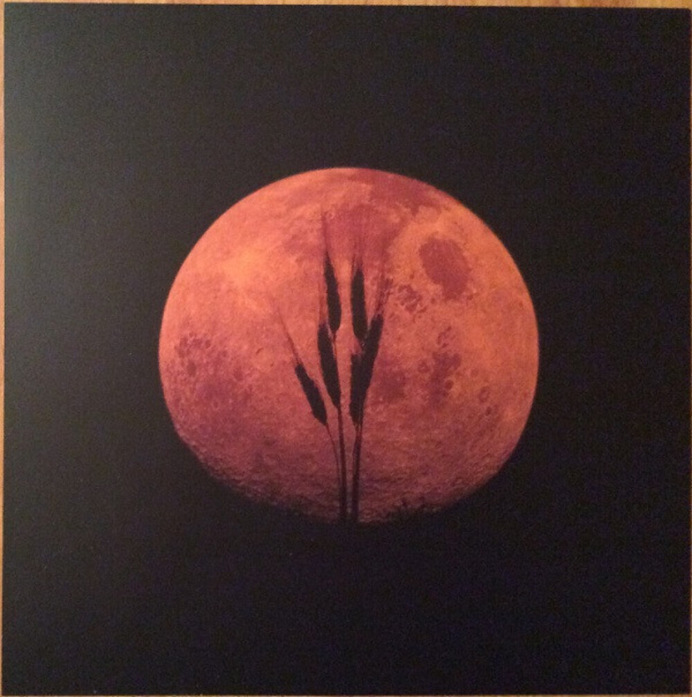 米、加3LP Neil Young Harvest Moon 5631811 Reprise Records /00660 71DrTwS834L._UF1000,1000_QL80_.jpg