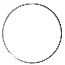BBS Edelstahl Anfahrschutz f&uuml;r CI-R 20" 20 Zoll - 0934255