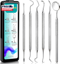 Dental Tools Dental Pick for Teeth Cleaning Stainless Steel Hygiene Kit