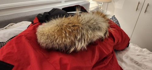 NEW GREY LABEL EDITION RED CANADA GOOSE EXPEDITION MEDIUM FITS "L-XL" PARKA - Picture 24 of 24