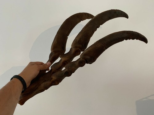 Patte et griffes de Therizinosaurus 60 cm museum quality raplica fossile - Imagen 1 de 5