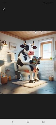 Cow On Toilet Reading Paper Shower Curtain