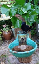 Feeding Station for Wild Birds/Squirrels/Parrots or Other Animals