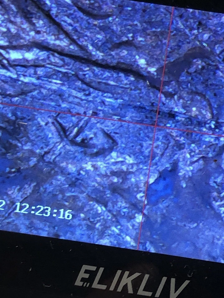 1996 p 💯🔥🌟jefferson 🌟💯nickel Double Struck One of t best history treasure￼ - Image 4 of 4