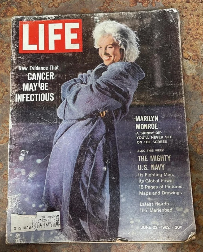 25+ Marilyn Monroe Life Magazine for sale | Updated Oct 2026