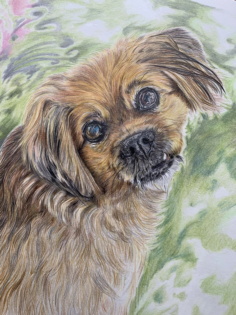 Artwork of your dog sales