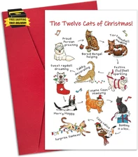 the Twelve Cats of Christmas Card with Envelopes, Funny Christmas Gifts for Cat