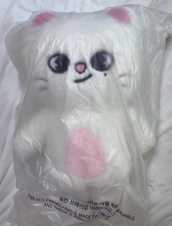 Stray Kids SKZOO Jiniret Plush Teddybear Ver. K-pop Official