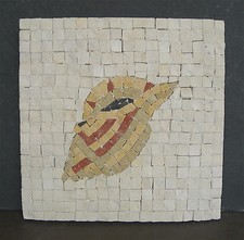 Mosaic Shell Tile-Contemporary