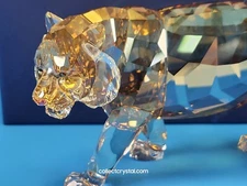 Swarovski SCS 2010 Tiger Big Cat # 1003148 with title plaque