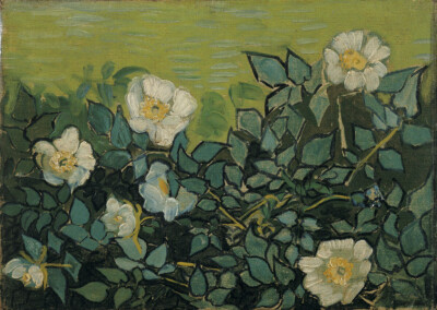 van Gogh - Wild roses Giclee Fine Art Print on Canvas Printing 36''