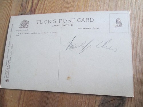Tuck's Postcard - Girl tapping bark of a rubber tree (Unposted) vintage - Picture 2 of 2