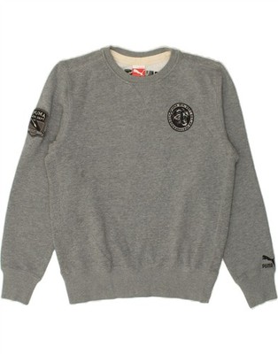 Puma Herren Graphic Sweatshirt Pullover Medium Grey QH10
