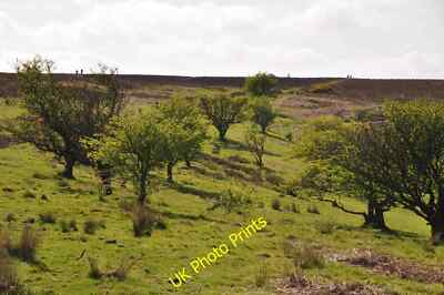 Foto 12x8 West Somerset: Exmoor Landschaft Withycombe\/SS8835 Blick durch c2015