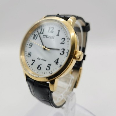 Citizen Eco-Drive Men's Black Analog Quartz Watch Japan 066699