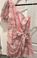 LoveShackFancy XS Pink Toile One-Shoulder Puff Sleeve Silk/cotton Mini Dress Zip