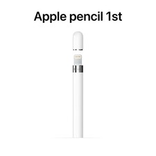 Apple Pencil (1. Generazione) Penna di Input per Apple iPad - Bianco IT Nuova -