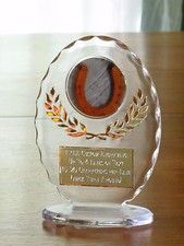 Horseshoes/Lucky 6 1/2" Acrylic Award Trophy FREE engraving