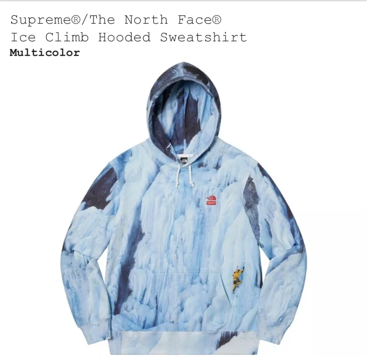 Size Medium Supreme / TNF Ice Climb Hooded Sweatshirt In Hand The