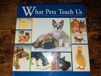 What Pets Teach Us: Life's Lessons Learned From Our Best Friends -VG HTF!