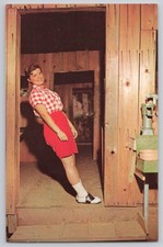 Mystery Hill Gravitational Force Irish Hills Michigan MI Unp Chrome Postcard