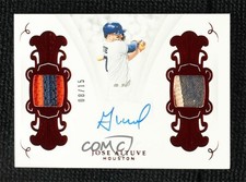 2019 Panini Flawless Signature Ruby 8/15 Jose Altuve #SP-JA Patch Auto 5ov