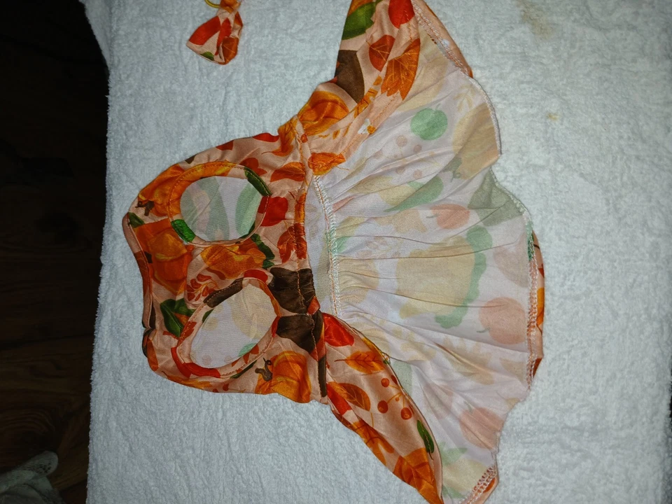 Vestido para perro Melocotón talla XS con lazo de pelo a juego Foto 4 de 4