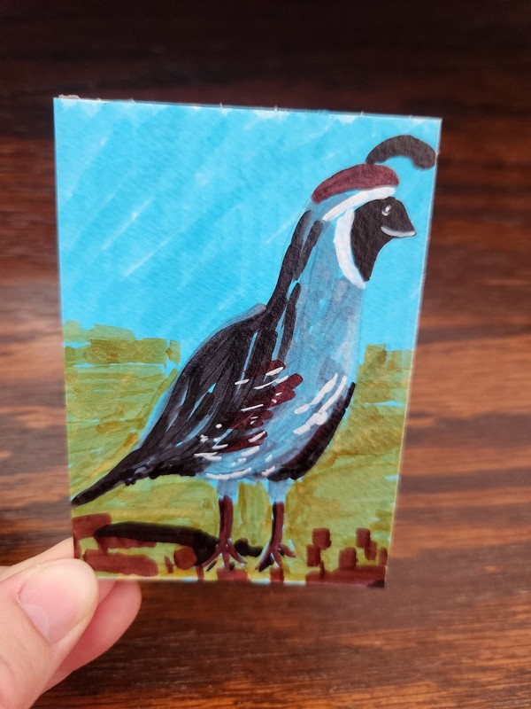 ACEO Original Quail 1 Drawing by CactusMoonDesign