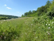 Photo 12x8 Saltbox Hill SSSI Biggin Hill The chalk grassland on the slopes c2017