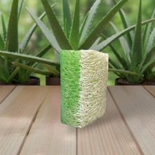 Natural Aloevera Loofah Soap-Handmade Exfoliating Pumpkin Fiber Bar